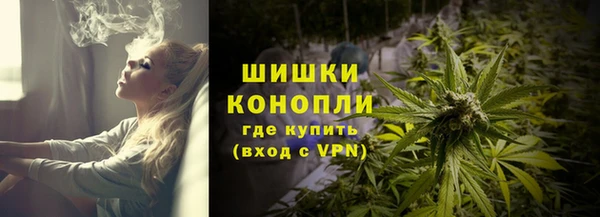 твердый Богородск