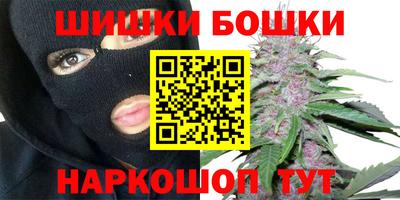 гидра Кингисепп