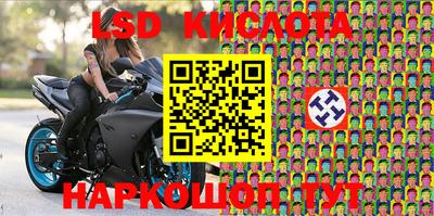 гидра Кингисепп