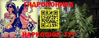 гидра Кингисепп