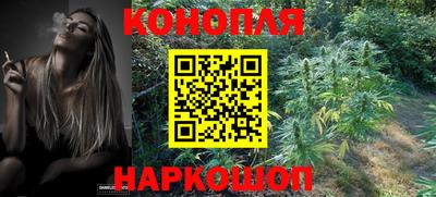дмт Кимры
