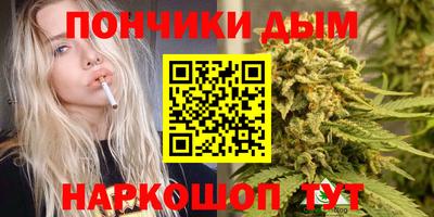 гидра Кингисепп
