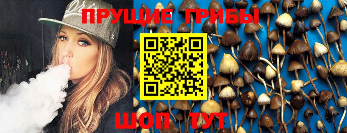 Наро-Фоминск  Псилоцибиновые грибы Cubensis  Вход с VPN 